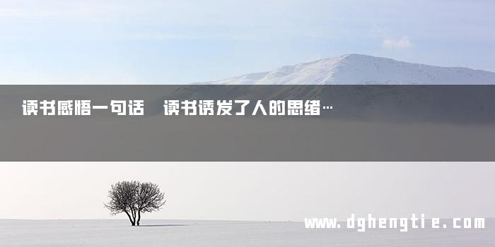 读书感悟一句话 读书诱发了人的思绪…